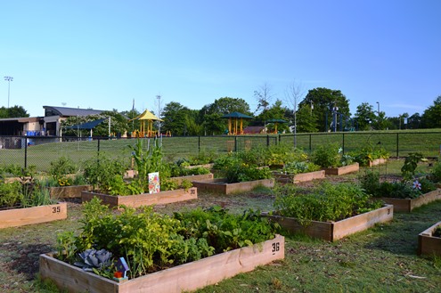 community garden at the Pavilion